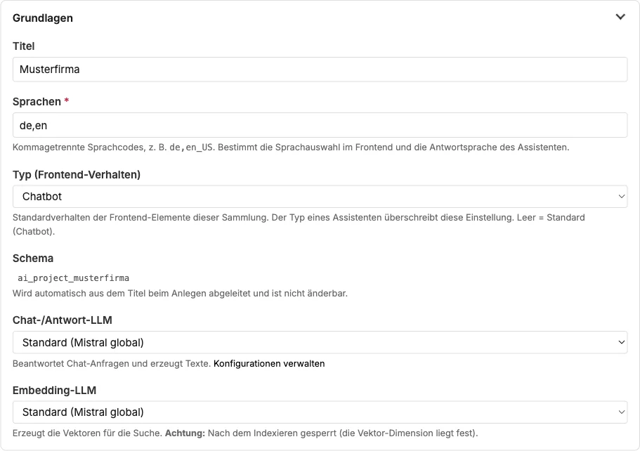 Abschnitt „Grundlagen“: Titel, Sprachen, Typ, Schema, Chat- und Embedding-LLM