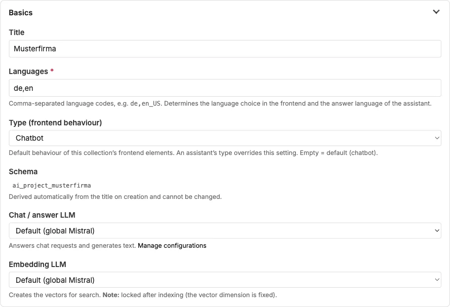 Section “Basics”: title, languages, type, schema, chat and embedding LLM